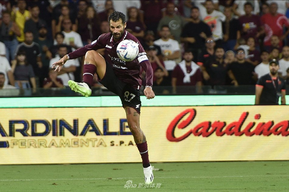 全面数据 全面数据