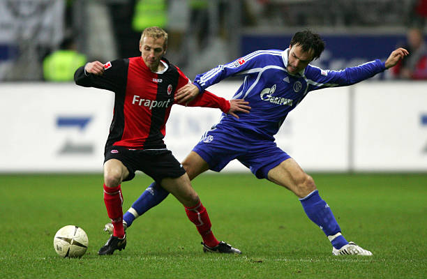 的健康收益 的健康收益